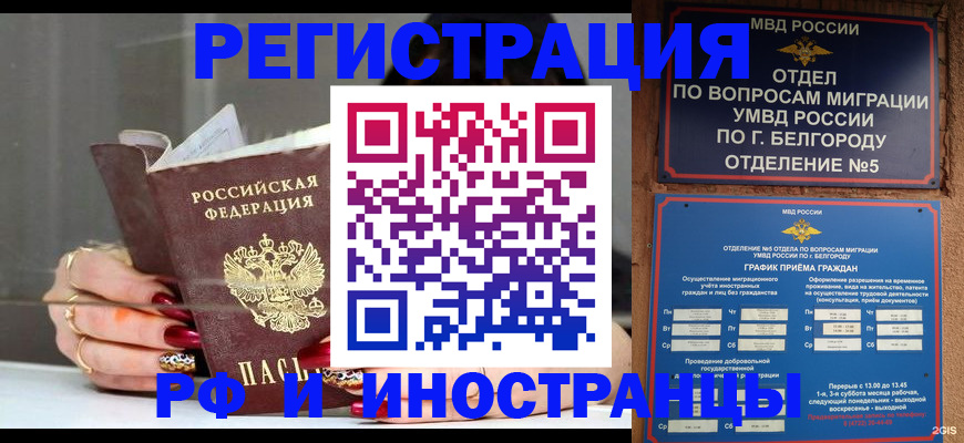 прописка в Полярных Зорях